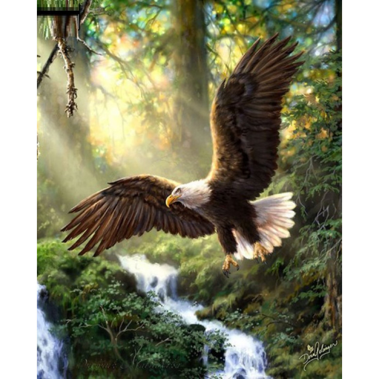 Купить Алмазна вишивка Дикий птаха 50 х 40 см (арт. FR682)