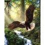 Купить Алмазна вишивка Дикий птаха 50 х 40 см (арт. FR682)