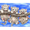Купить Алмазная вышивка Тигрята 30*40 м (арт. FS007)