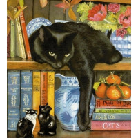 Купить Набор алмазной мозаики Кот на полке 30 х 30 см (арт. FS013) Купить Набор алмазной мозаики Кот на полке 30 х 30 см (арт. FS013)