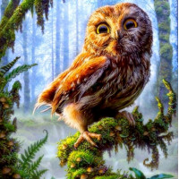 Купить Алмазная вышивка Сова на ветке 30*30 см (арт. FS014) Купить Алмазная вышивка Сова на ветке 30*30 см (арт. FS014)