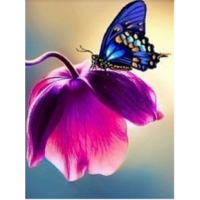Купить Алмазная вышивка Бабочка на цветке 20 х 25 см (арт. FS044) Купить Алмазная вышивка Бабочка на цветке 20 х 25 см (арт. FS044)