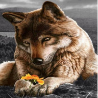 Купить Полная алмазная вышивка Волк отдыхает 30 х 30 см (арт. FS065) Купить Полная алмазная вышивка Волк отдыхает 30 х 30 см (арт. FS065)