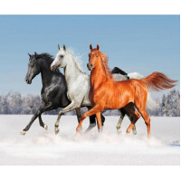 Купить Алмазная вышивка Тройка лошадей 30 х 25 см (арт. FS086) Купить Алмазная вышивка Тройка лошадей 30 х 25 см (арт. FS086)
