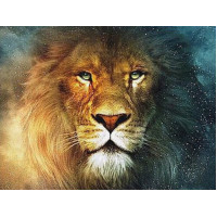Купить Набор алмазной вышивки Лев 30 х 40 см (арт. FS185) Купить Набор алмазной вышивки Лев 30 х 40 см (арт. FS185)