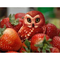 Купить Алмазная вышивка Маленькая совушка 20 х 25 см (арт. FS240) Купить Алмазная вышивка Маленькая совушка 20 х 25 см (арт. FS240)