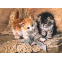 Купить Алмазная вышивка Ласковые котята 30 х 40 см (арт. FS285) Купить Алмазная вышивка Ласковые котята 30 х 40 см (арт. FS285)