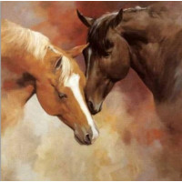 Купить Алмазная вышивка Благородные скакуны 30 х 30 см (арт. FS301) Купить Алмазная вышивка Благородные скакуны 30 х 30 см (арт. FS301)