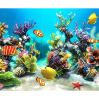 Купить Алмазная вышивка Подводный мир 60 х 50 см (арт. FS304) Купить Алмазная вышивка Подводный мир 60 х 50 см (арт. FS304)