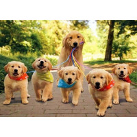 Купить Набор алмазной вышивки Веселая прогулка 40 х 50 см (арт. FR343) Купить Набор алмазной вышивки Веселая прогулка 40 х 50 см (арт. FR343)