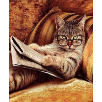 Купить Набор алмазной вышивки Кошачья наука 30 х 40 см (арт. FS346) Купить Набор алмазной вышивки Кошачья наука 30 х 40 см (арт. FS346)