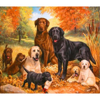 Купить Алмазная мозаика Семейство собак ретриверов 40 х 50 см (арт. FS383) Купить Алмазная мозаика Семейство собак ретриверов 40 х 50 см (арт. FS383)