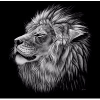 Купить Алмазная мозаика Могучий лев 40 х 40 см (арт. FS407) Купить Алмазная мозаика Могучий лев 40 х 40 см (арт. FS407)