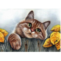 Купить Алмазная вышивка Мой любимый пушистый кот 30 х 40 см (арт. FS530)