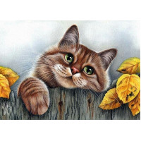 Купить Алмазная вышивка Мой любимый пушистый кот 30 х 40 см (арт. FS530) Купить Алмазная вышивка Мой любимый пушистый кот 30 х 40 см (арт. FS530)