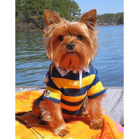 Купить Алмазная выкладка Самый верный друг 30 х 40 см (арт. FS691) Купить Алмазная выкладка Самый верный друг 30 х 40 см (арт. FS691)