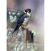 Купить Алмазная вышивка квадратные камни Зоркая птица 40 х 50 см(арт. FS757) Купить Алмазная вышивка квадратные камни Зоркая птица 40 х 50 см(арт. FS757)