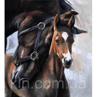 Купить Алмазная вышивка квадратные камни 40 х 40 см Любимый жеребёнок(арт. FS767) Купить Алмазная вышивка квадратные камни 40 х 40 см Любимый жеребёнок(арт. FS767)