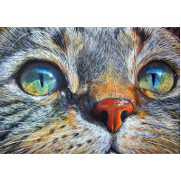 Купить Алмазная вышивка Милый котенок 40 х 30 см (арт. FS791) Купить Алмазная вышивка Милый котенок 40 х 30 см (арт. FS791)