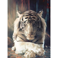 Купить Набор алмазной мозаики Белый тигр 40 х 30 см (арт. FS827) Купить Набор алмазной мозаики Белый тигр 40 х 30 см (арт. FS827)