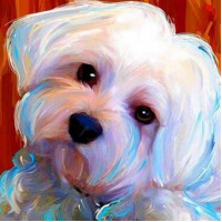 Купить Алмазная вышивка квадратные камни 30 х 30 см Мальтийская болонка (арт. FS881) Купить Алмазная вышивка квадратные камни 30 х 30 см Мальтийская болонка (арт. FS881)