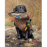 Купить Алмазная вышивка квадратные камни 50 х 40 см Прирожденный охотник (арт. FS898) Купить Алмазная вышивка квадратные камни 50 х 40 см Прирожденный охотник (арт. FS898)