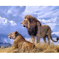 Купить Алмазная вышивка без коробки Лев и львица MyArt 30 х 40 см (арт. MA744) Купить Алмазная вышивка без коробки Лев и львица MyArt 30 х 40 см (арт. MA744)
