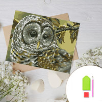 Купить Алмазная вышивка на картоне 20 х 30 см Сова охотница (арт. RK008) круглые камни Купить Алмазная вышивка на картоне 20 х 30 см Сова охотница (арт. RK008) круглые камни