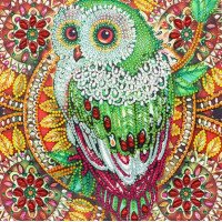 Купить Алмазная мозаика 5D Яркая сова 24 х 24 см (арт. PR1213) Купить Алмазная мозаика 5D Яркая сова 24 х 24 см (арт. PR1213)