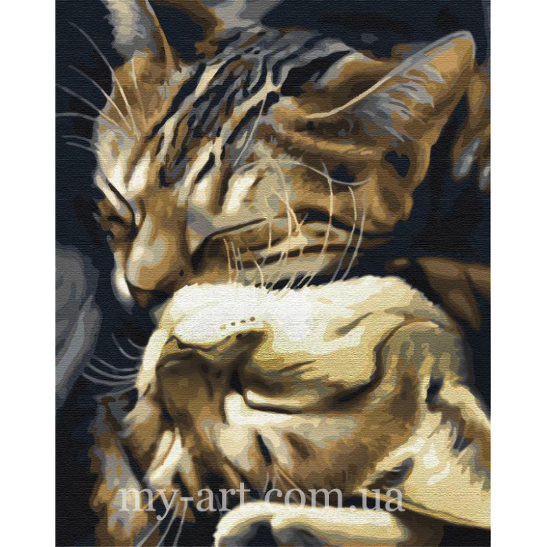 Купить Алмазная вышивка на подрамнике Любовь котиков 40 х 50 см (арт. TN1172)