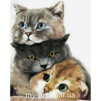 Купить Алмазная вышивка на подрамнике Три милых котика 40 х 50 см (арт. TN1182) Купить Алмазная вышивка на подрамнике Три милых котика 40 х 50 см (арт. TN1182)