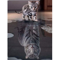 Купить Алмазная вышивка Отражение души 40 х 50 см (арт. FS473) полная выкладка Купить Алмазная вышивка Отражение души 40 х 50 см (арт. FS473) полная выкладка