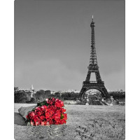Купить Набор алмазной мозаики Париж, Эйфелева башня 50*40 см (арт. FS016) Купить Набор алмазной мозаики Париж, Эйфелева башня 50*40 см (арт. FS016)