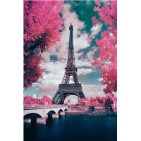 Купить Алмазная вышивка В глазах Париж50 х 40 см (арт. FS686) Купить Алмазная вышивка В глазах Париж50 х 40 см (арт. FS686)