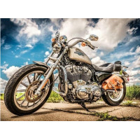 Купить Алмазная вышивка квадратные камни 40 х 50 см Прирожденный гонщик (арт. FS855) Купить Алмазная вышивка квадратные камни 40 х 50 см Прирожденный гонщик (арт. FS855)