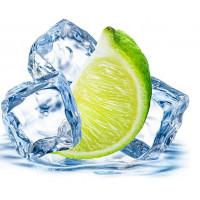 Купить Алмазная вышивка Айс лайм 20 х 20 см (арт. FR139) Купить Алмазная вышивка Айс лайм 20 х 20 см (арт. FR139)