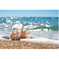 Купить Алмазная вышивка морская тематика Побережье 45 х 30 см (арт. FR545) Купить Алмазная вышивка морская тематика Побережье 45 х 30 см (арт. FR545)