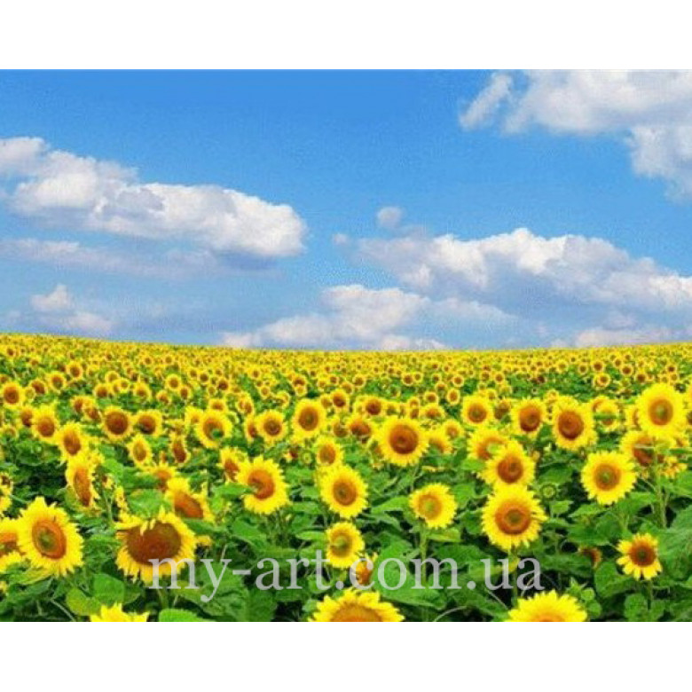 Купить Алмазная вышивка круглые стразы 40 х 50 см на подрамнике Поле подсолнухов (арт. AR-3132) без коробки