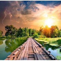 Купить Алмазная вышивка Красота природы 30 х 30 см (арт. FS210) Купить Алмазная вышивка Красота природы 30 х 30 см (арт. FS210)