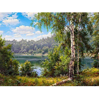 Купить Алмазная вышивка Берег у реки 30*40 см (арт. FS226) Купить Алмазная вышивка Берег у реки 30*40 см (арт. FS226)