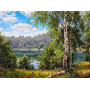 Купить Алмазная вышивка Берег у реки 30*40 см (арт. FS226)
