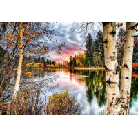 Купить Набор алмазной вышивки Закат у реки в лесу 30 х 45 см (арт. FS264) Купить Набор алмазной вышивки Закат у реки в лесу 30 х 45 см (арт. FS264)