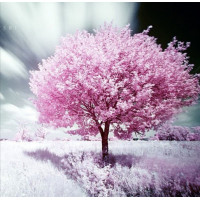 Купить Комплект алмазной вышивки Сакура в цвету DIY 40 х 40 см (арт. FS275) Купить Комплект алмазной вышивки Сакура в цвету DIY 40 х 40 см (арт. FS275)