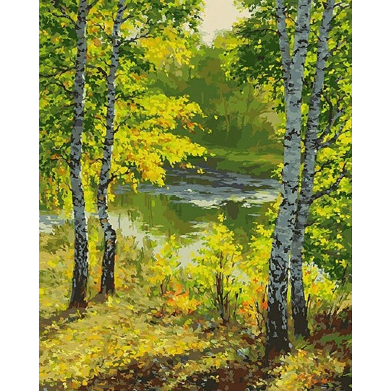 Купить Алмазная вышивка без коробки MyArt Летний полдень 40 х 50 см (арт. MA475)