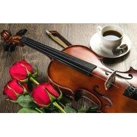 Купить Алмазная вышивка 50 х 40 см на подрамнике Струны любви (арт. TN653) Купить Алмазная вышивка 50 х 40 см на подрамнике Струны любви (арт. TN653)