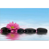 Купить Алмазная вышивка Прекрасное спокойствие 30*20 см (арт.FS 011) Купить Алмазная вышивка Прекрасное спокойствие 30*20 см (арт.FS 011)