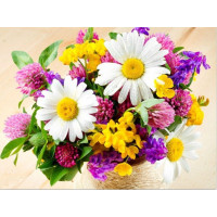 Купить Алмазная вышивка Летнее настроение 40*30 см (арт. FS134) Купить Алмазная вышивка Летнее настроение 40*30 см (арт. FS134)