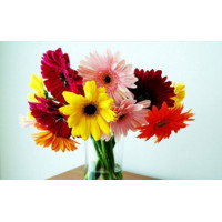 Купить Алмазная вышивка Сочные герберы 40 х 25 см (арт. FS171) Купить Алмазная вышивка Сочные герберы 40 х 25 см (арт. FS171)