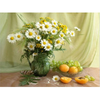 Купить Алмазная вышивка Ромашки и абрикосы 40 х 30 см (арт. FS172) Купить Алмазная вышивка Ромашки и абрикосы 40 х 30 см (арт. FS172)