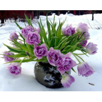 Купить Набор алмазной вышивки Зимний букет 50 х 60 см (арт. FS207) Купить Набор алмазной вышивки Зимний букет 50 х 60 см (арт. FS207)